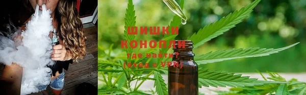 мяу мяу мука Касимов