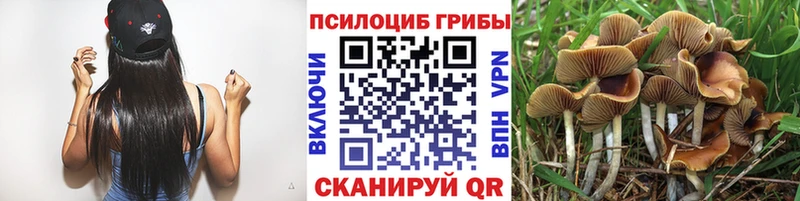сколько стоит  Шахты  Псилоцибиновые грибы GOLDEN TEACHER 